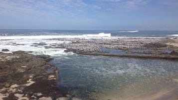 Un rivage rocheux bordé d’une eau claire et de vagues.