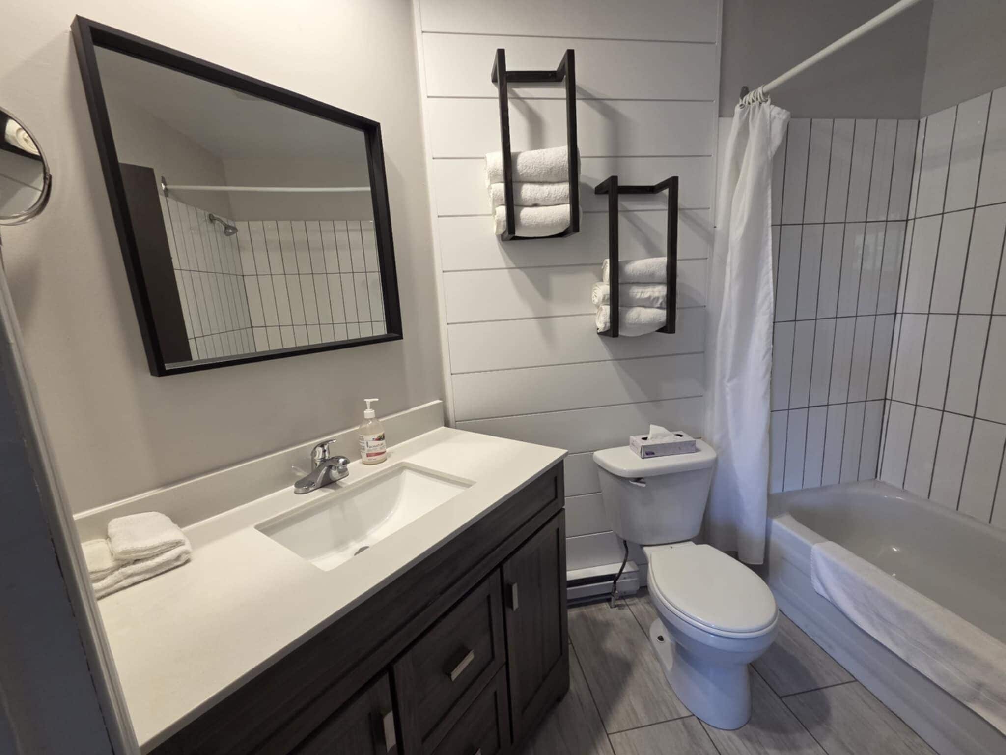 Economy chalet | Badkamer | Gratis toiletartikelen, een haardroger, handdoeken, zeep