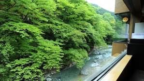 Vista de un río con abundante vegetación verde en una orilla y un edificio con ventana que da al paisaje.