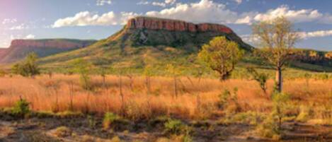 Vistas desde el alojamiento