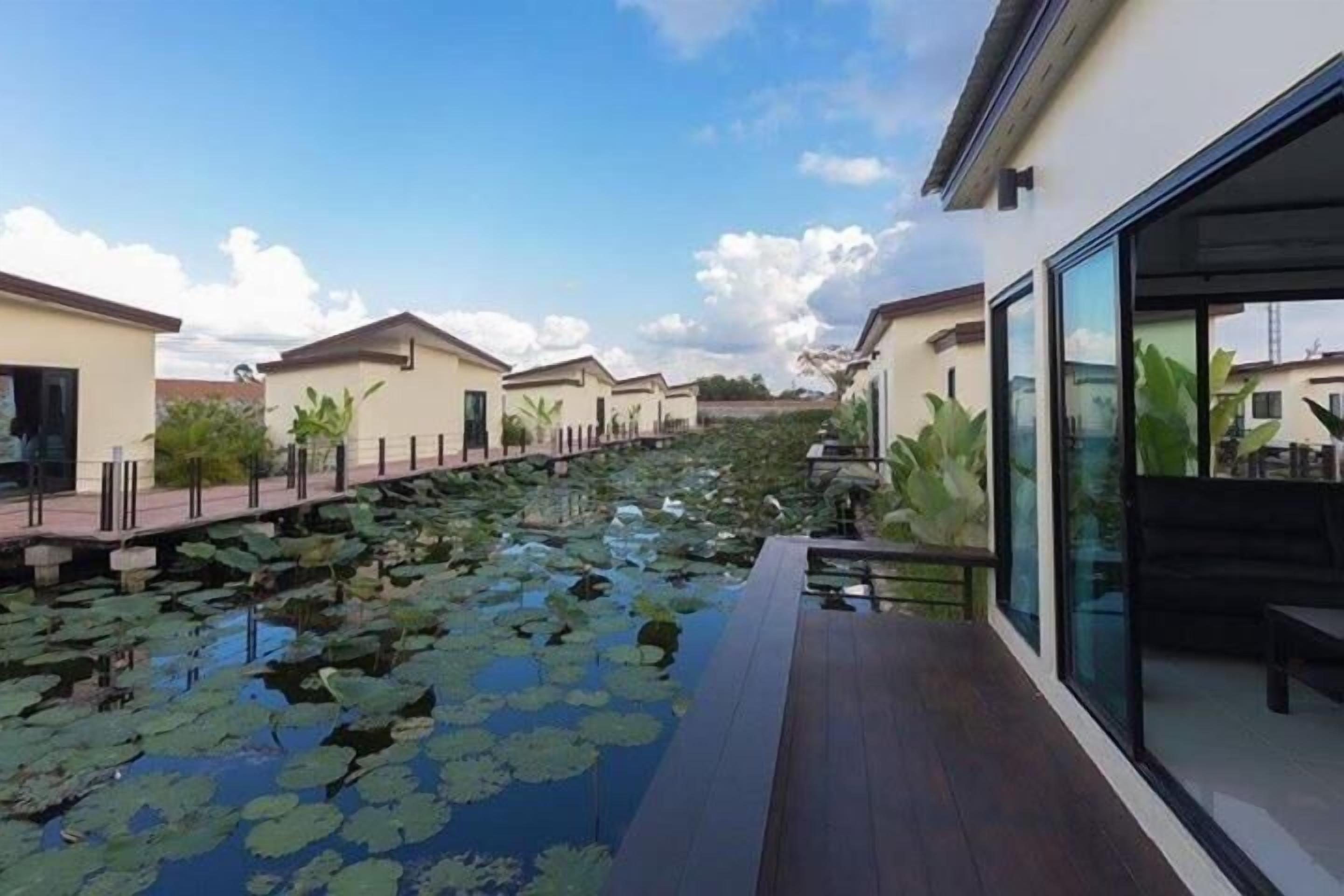 outdoor pool, pool loungers