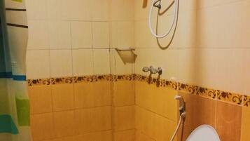 Shower, free toiletries, towels