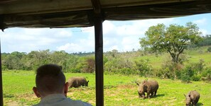 Ecotours - Lodge Afrique (St. Lucia)