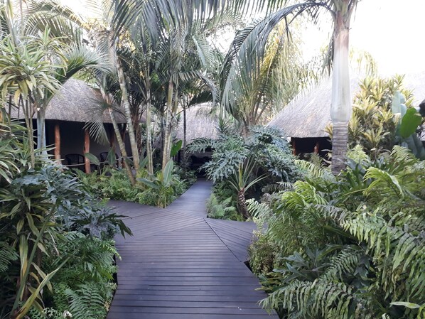 View from property