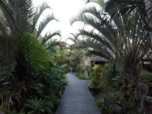 Property grounds - Lodge Afrique (St. Lucia)