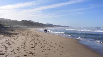 Perto da praia, serviço de traslado de/para a praia, toalhas de praia