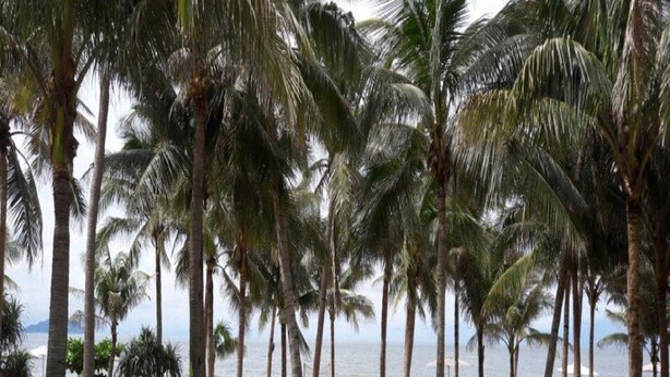 Unclassified image, 1 of 125, button - Miami Beach Hotel (Da Nang)