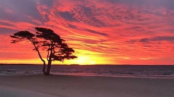 Perto da praia, areia branca