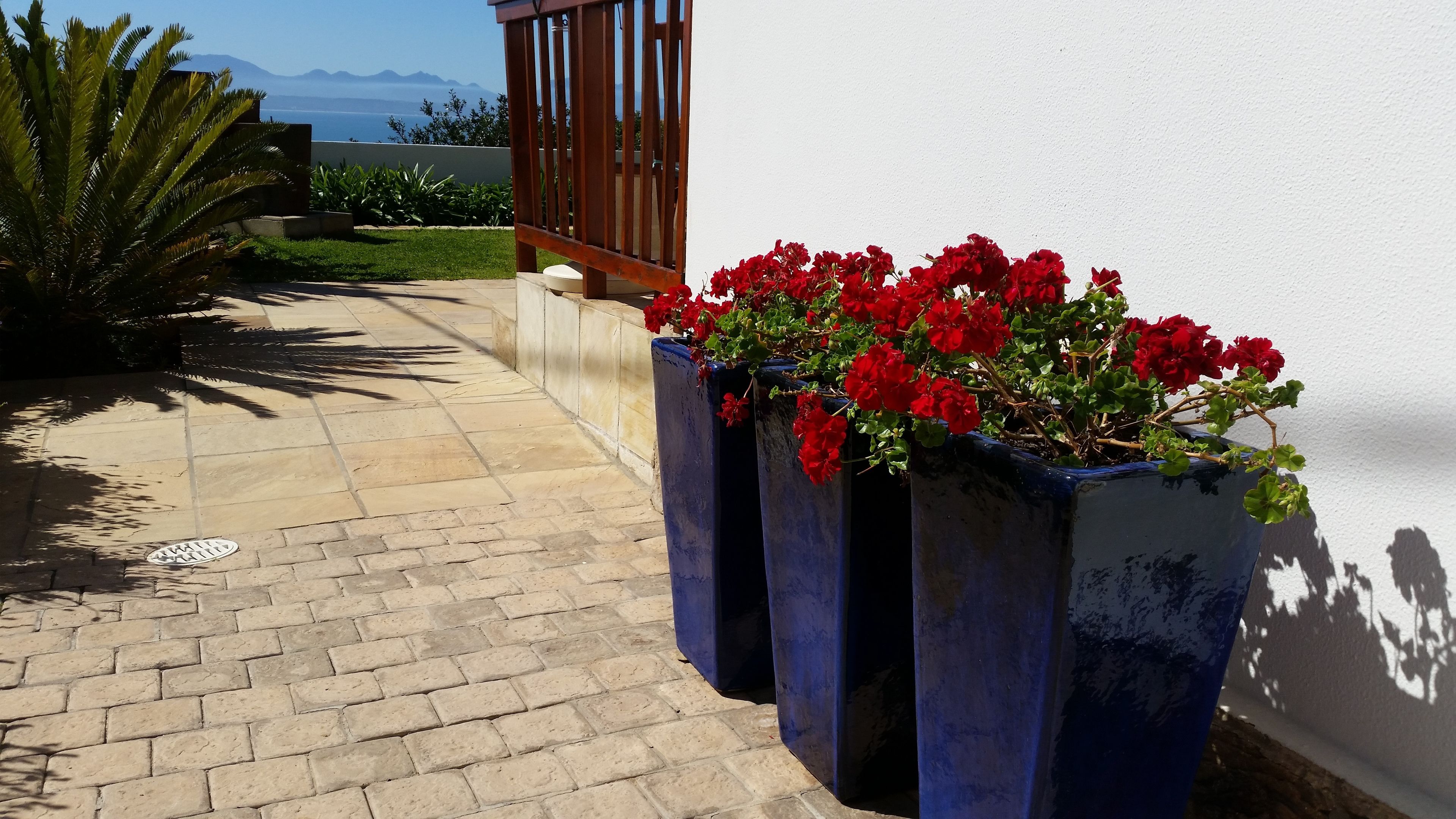 A paved pathway leading to a wooden gate, with red flowers in blue planters along the path.