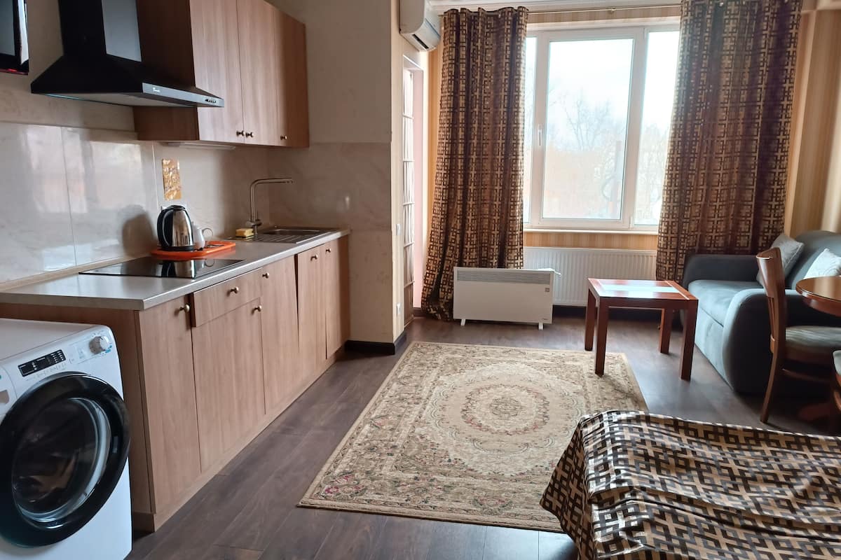 Un espace de vie compact comprenant un coin cuisine, un lave-linge, un canapé et un tapis à motifs.