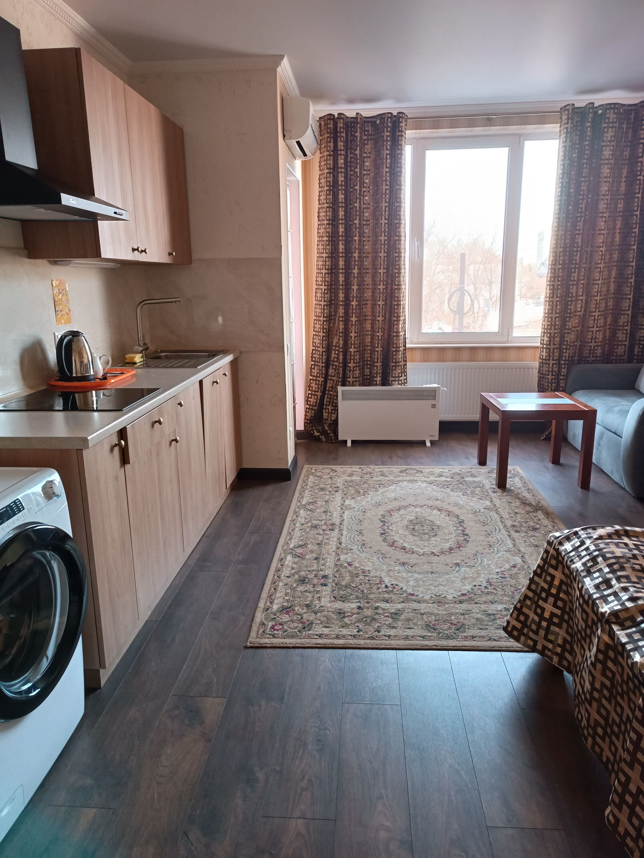 A compact living space with a kitchen, a washing machine, a radiator, a sofa, and a patterned rug.