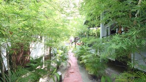 A narrow pathway flanked by dense green foliage, leading to a building with a red roof. - Phangan Cove (Ko Pha-ngan)