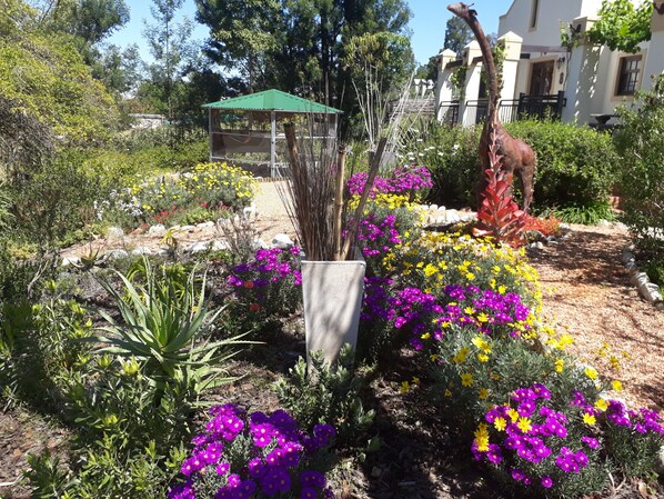 Garden view