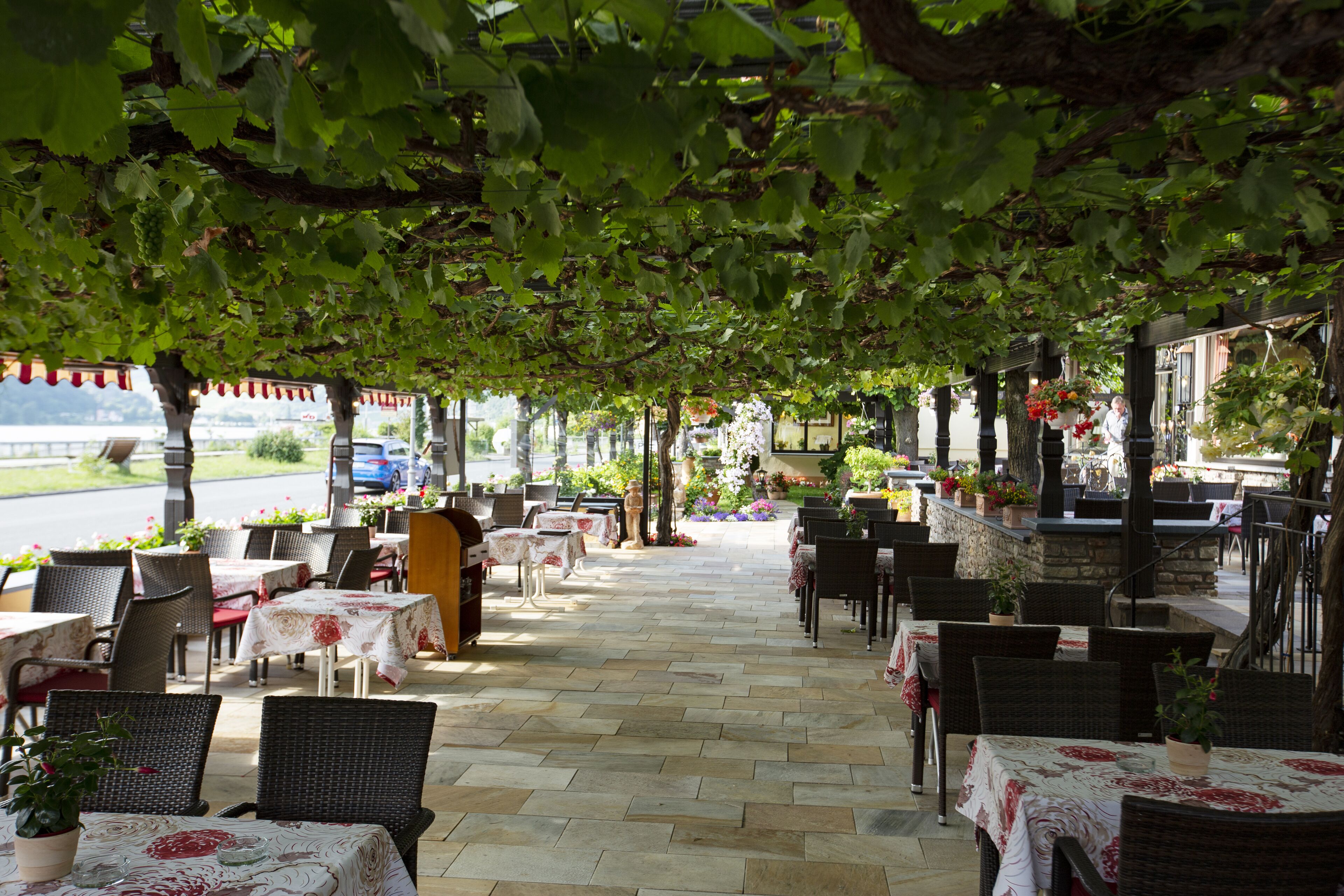 lunch and dinner served, regional cuisine