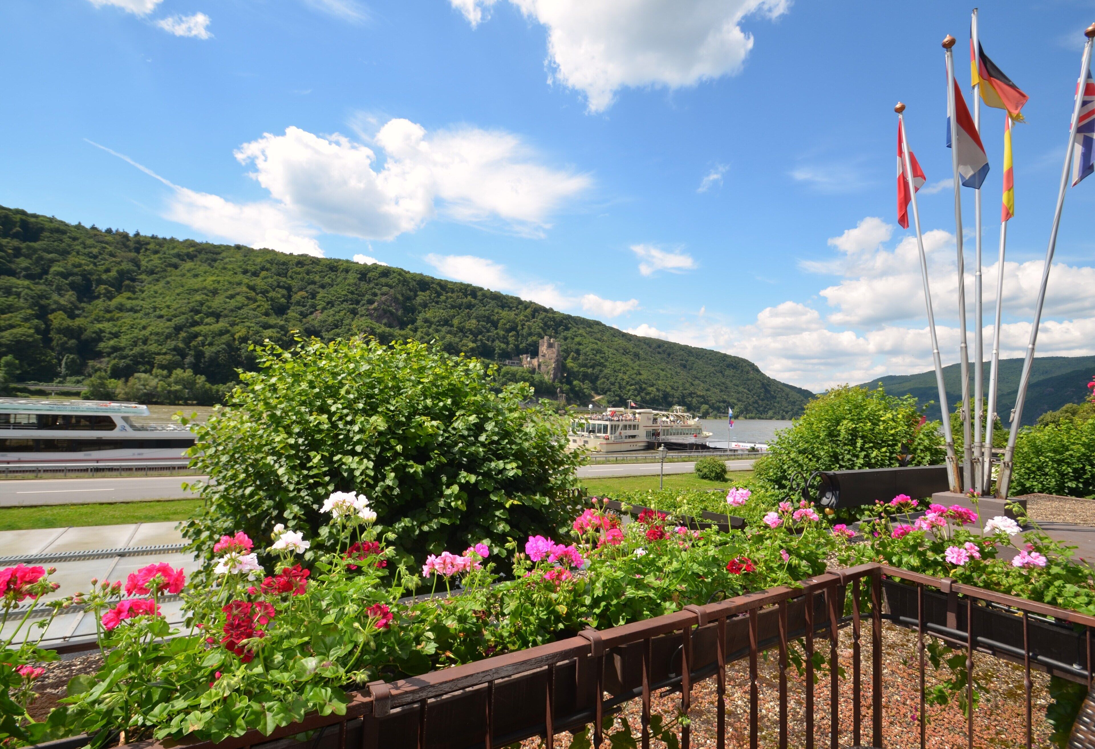 superior double room, river view | view from room