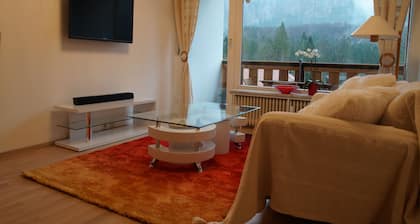 W & S Executive Apartments - Obertraun