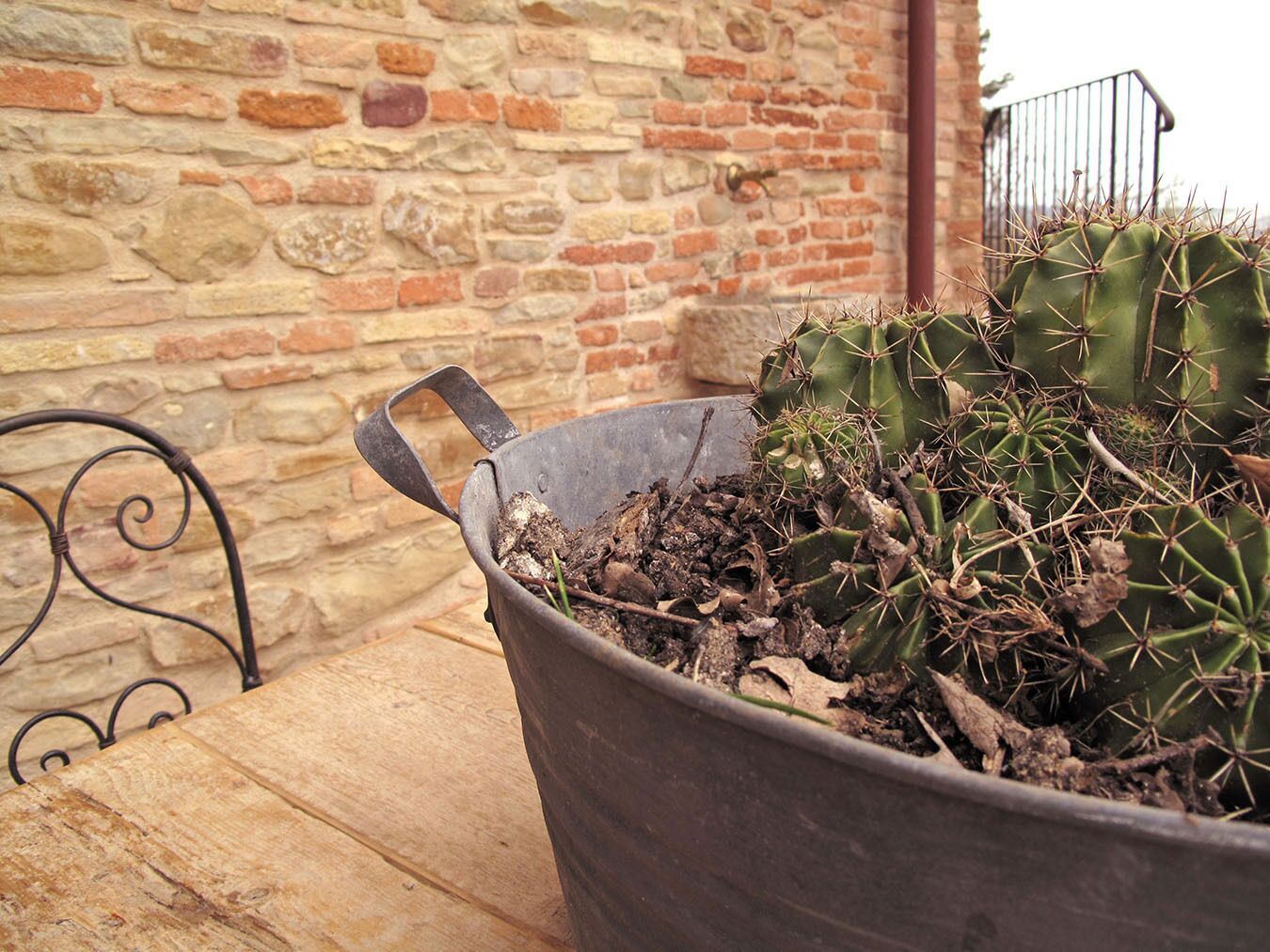 Una maceta metálica con una planta de cactus sobre una mesa de madera frente a una pared de piedra.