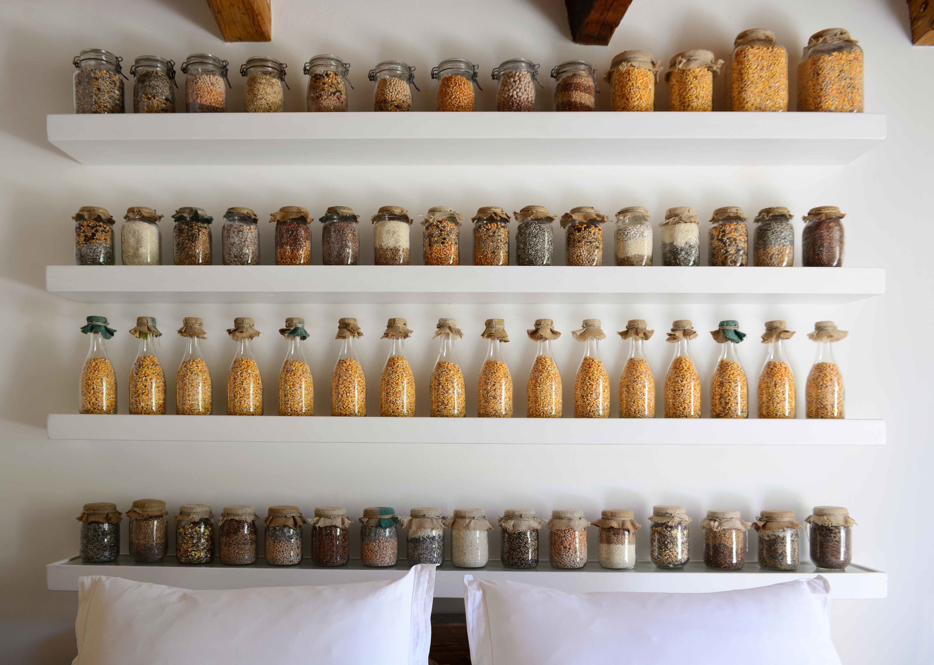 A wall with multiple shelves holding jars of grains and seeds.