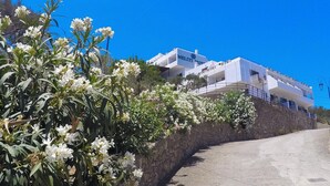 Ingang accommodatie