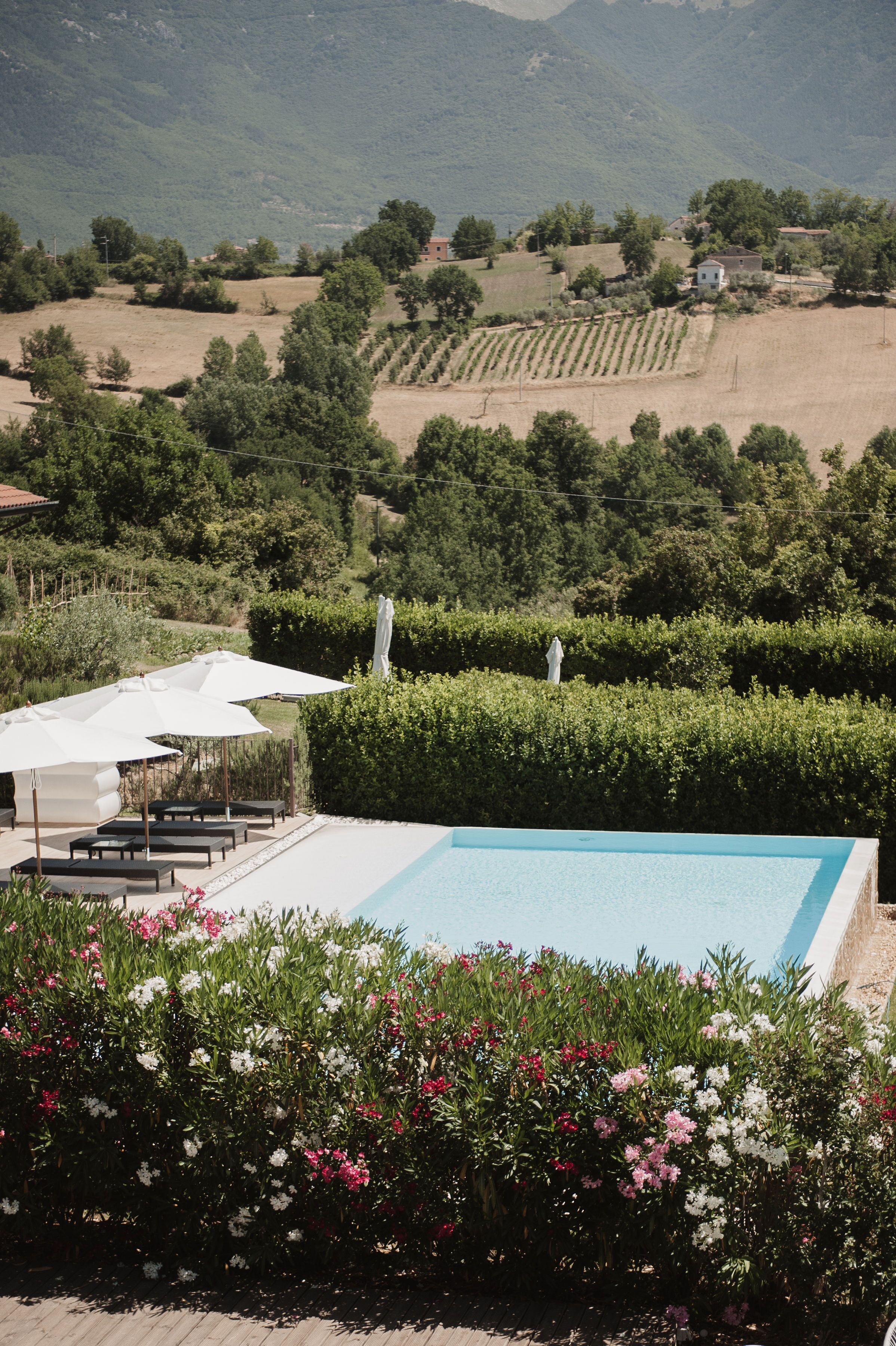 Un área de piscina con sillones de descanso y sombrillas, rodeada de setos cuidados y plantas con flores.
