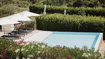 A pool area with lounge chairs and umbrellas, surrounded by well-maintained hedges and flowering plants.