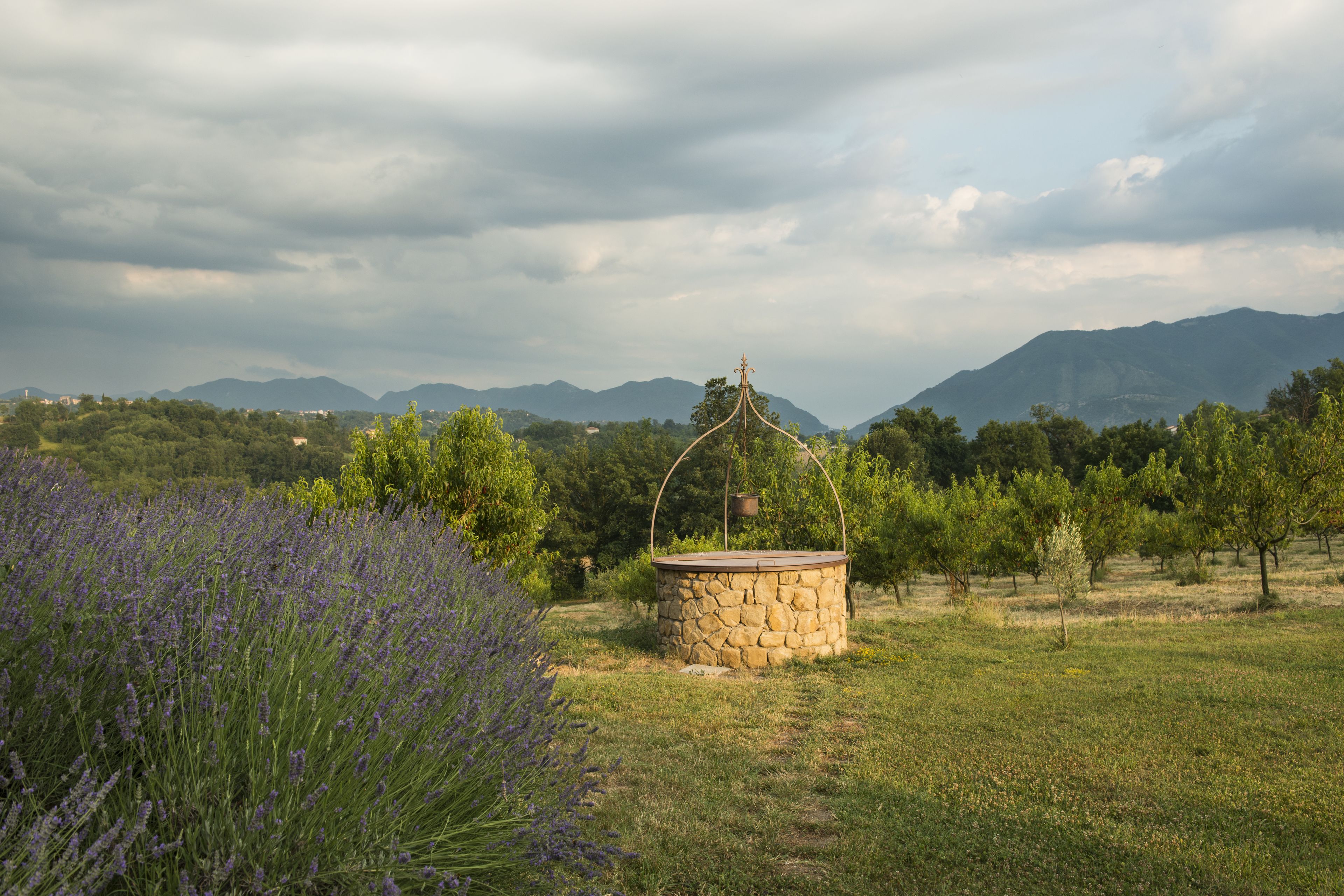 A stone structure with a hanging pot in a field with lavender and trees, surrounded by mountains.