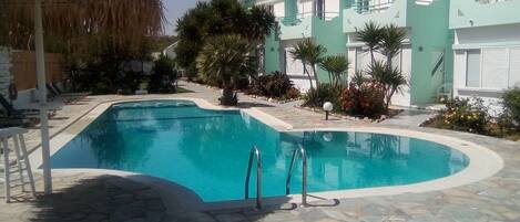 A swimming pool with a stone deck, surrounded by lounge chairs and a thatched roof structure.