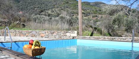 Piscine extérieure, parasols de plage
