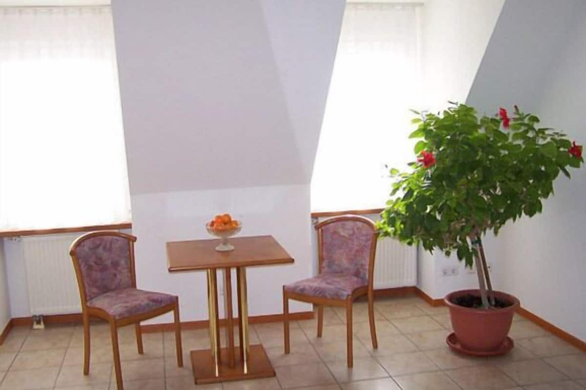 A small room with a table and two chairs, a potted plant, and a radiator.