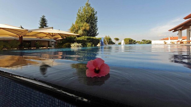 Una piscina con una flor de hibisco en el borde, rodeada de sombrillas y sillas de descanso.