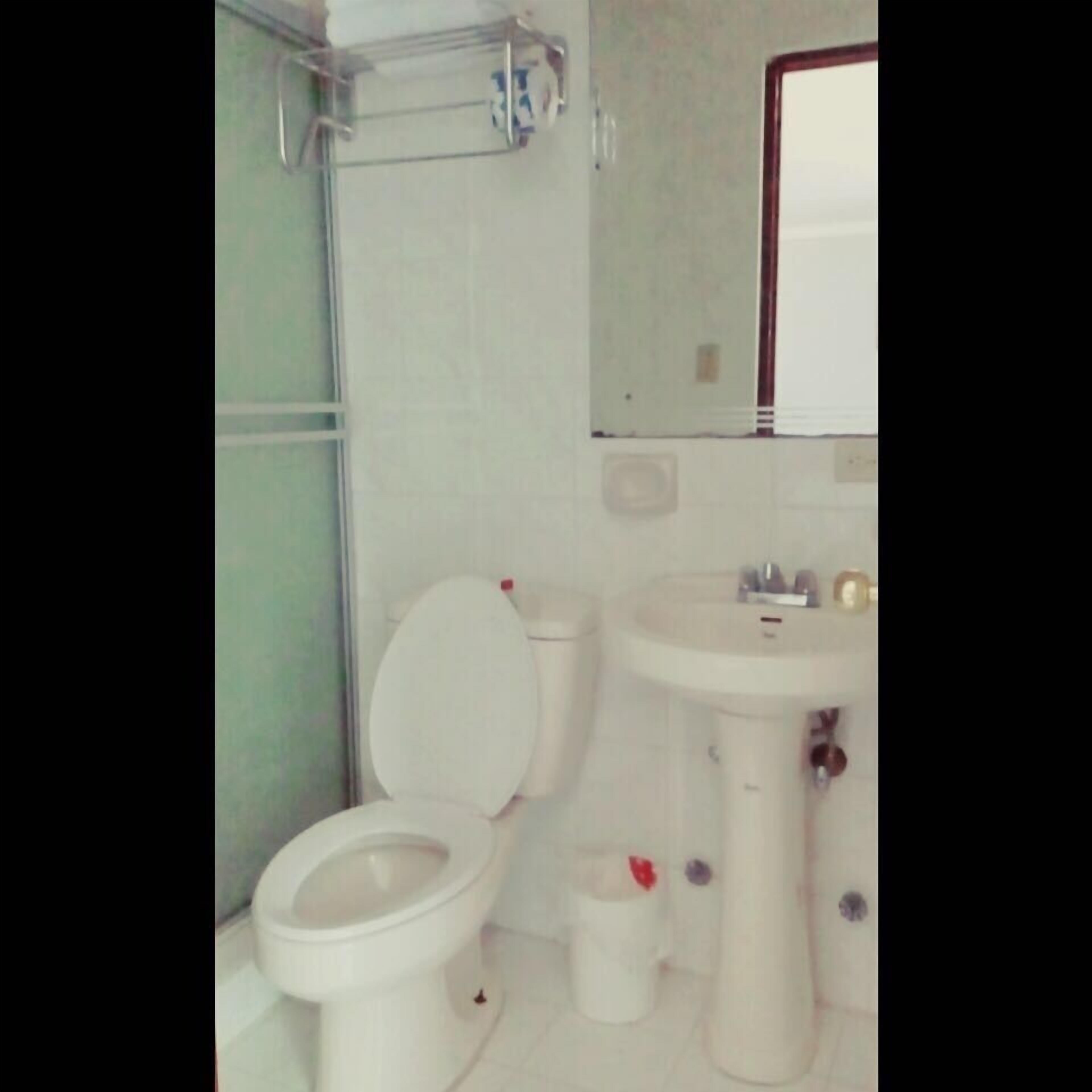 A bathroom with a toilet, sink, and a mirror.