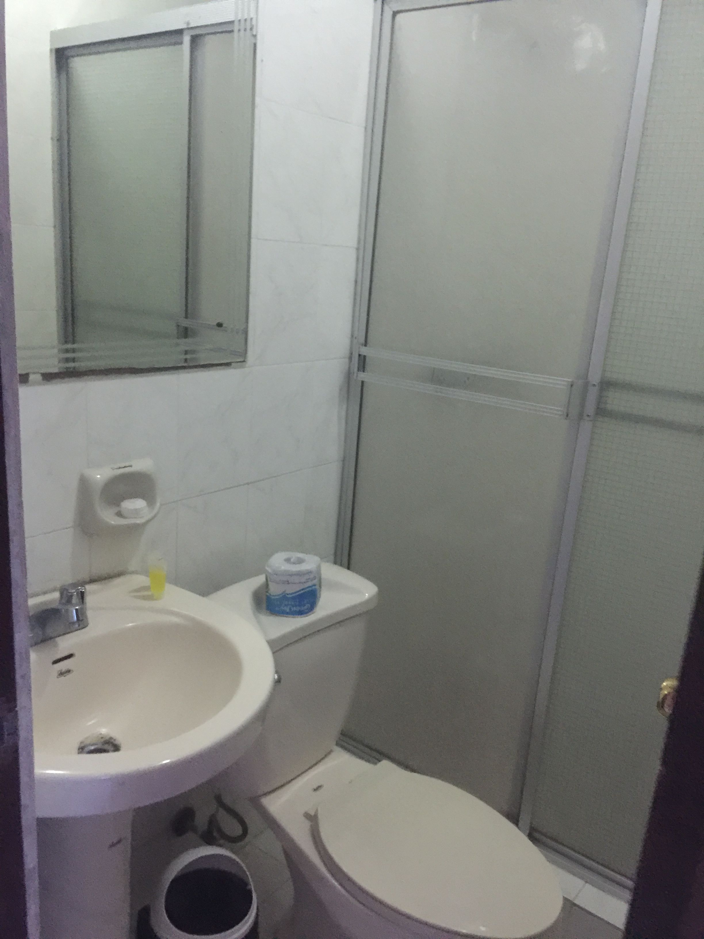 Een badkamer met een wastafel, toilet en douchecabine.
