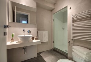 Driepersoonskamer | Badkamer | Een douche, een regendouche, een haardroger, een bidet