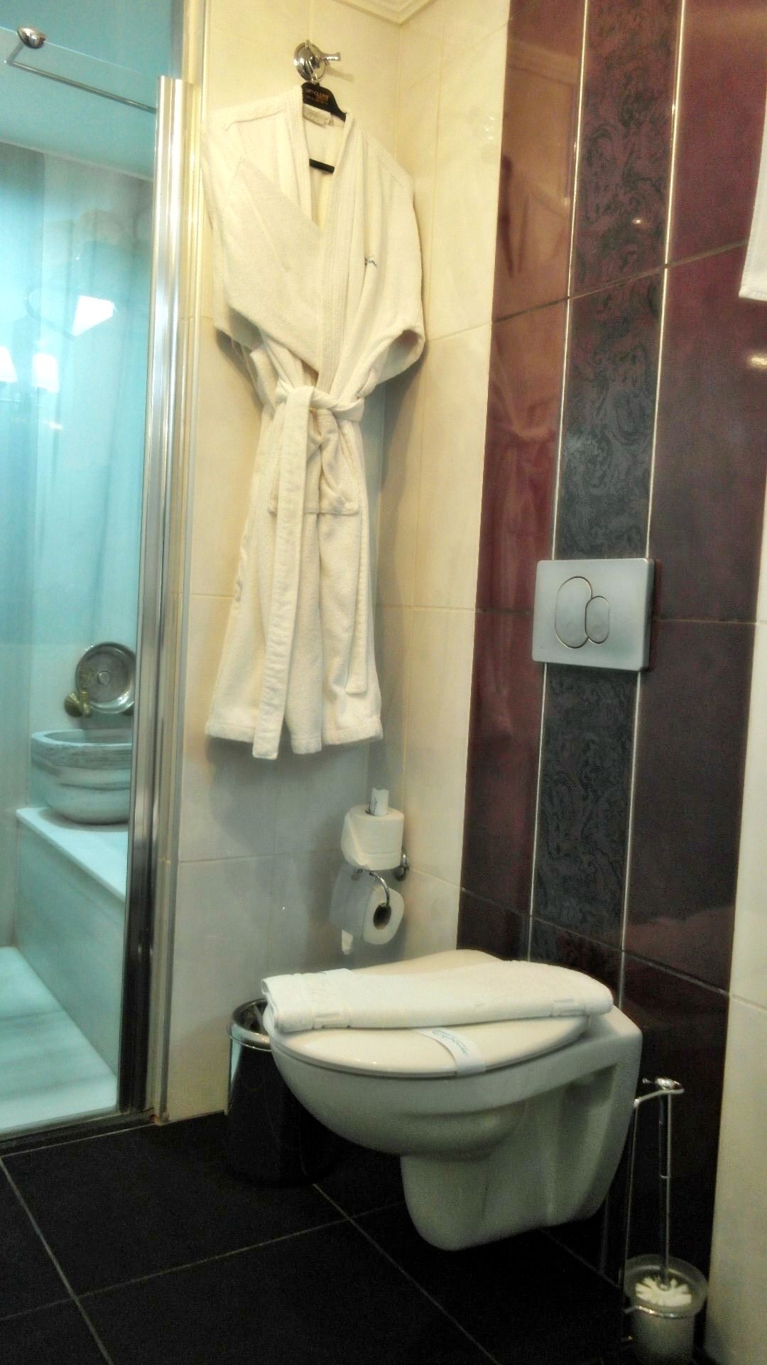A bathroom with a glass shower enclosure, a toilet, and a towel rack with a white robe hanging on it.