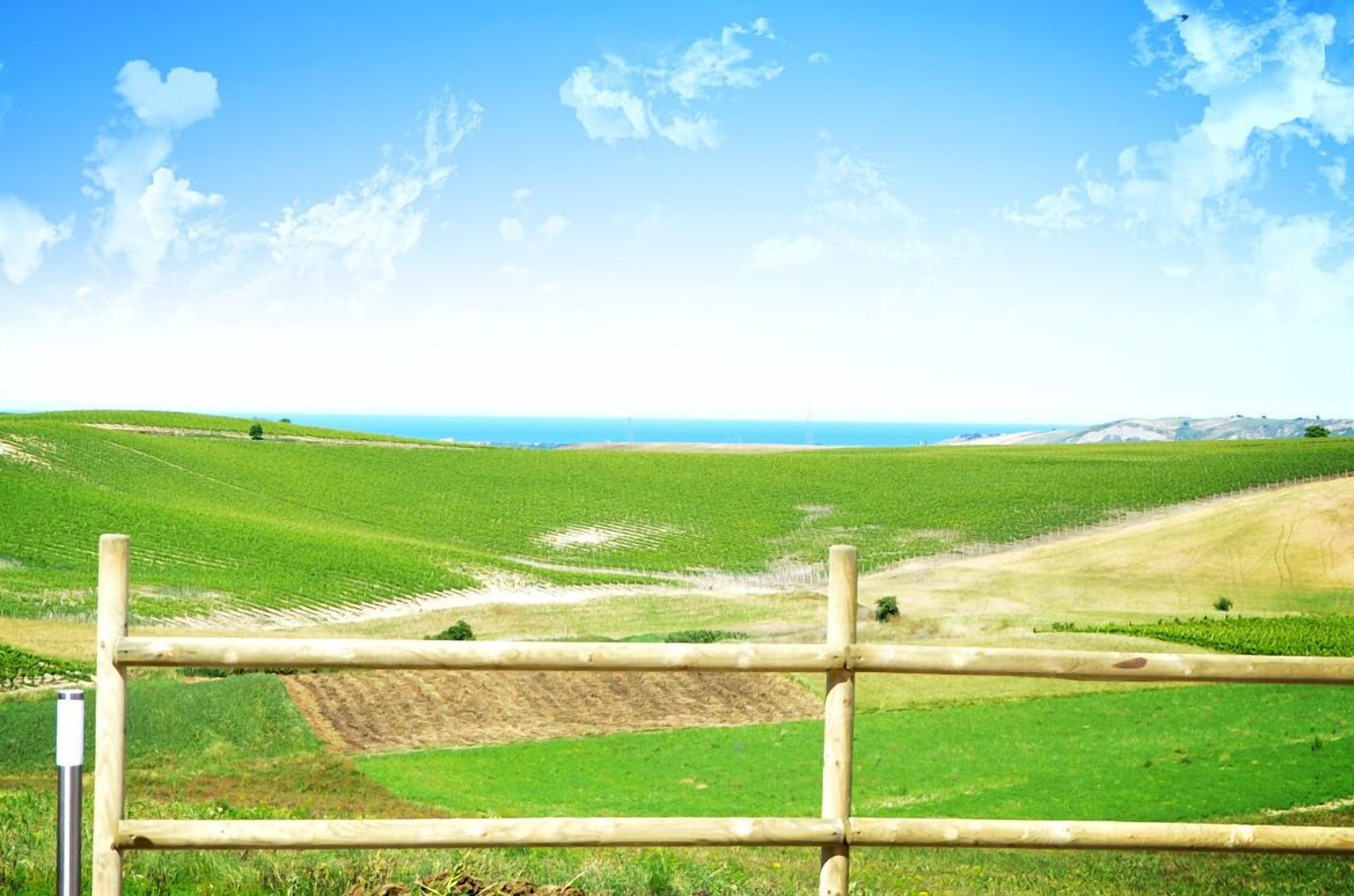 Een landelijk landschap met groene velden en een heldere blauwe lucht.