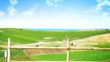 Een landelijk landschap met groene velden en een heldere blauwe lucht.
