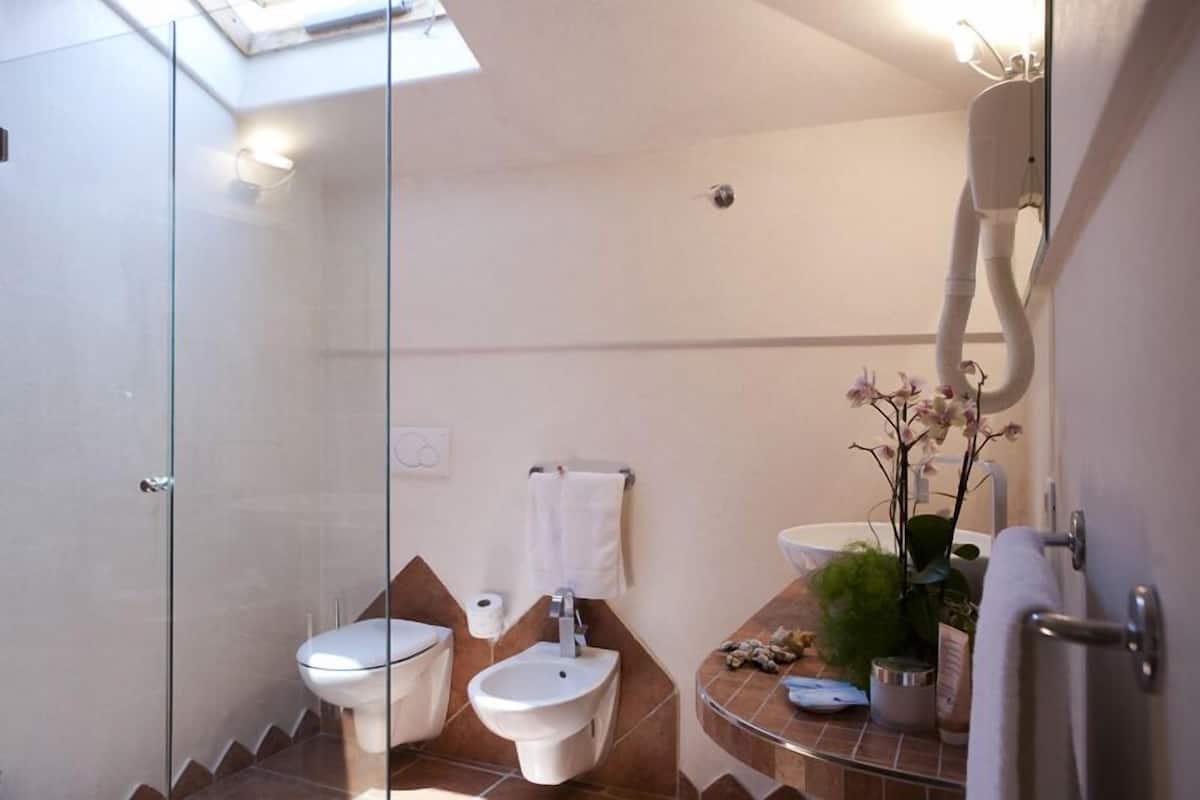 free toiletries, hair dryer, bidet, towels