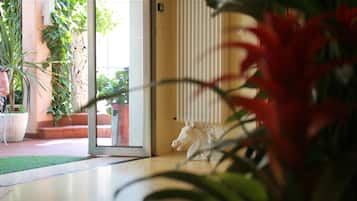 Ingresso interno