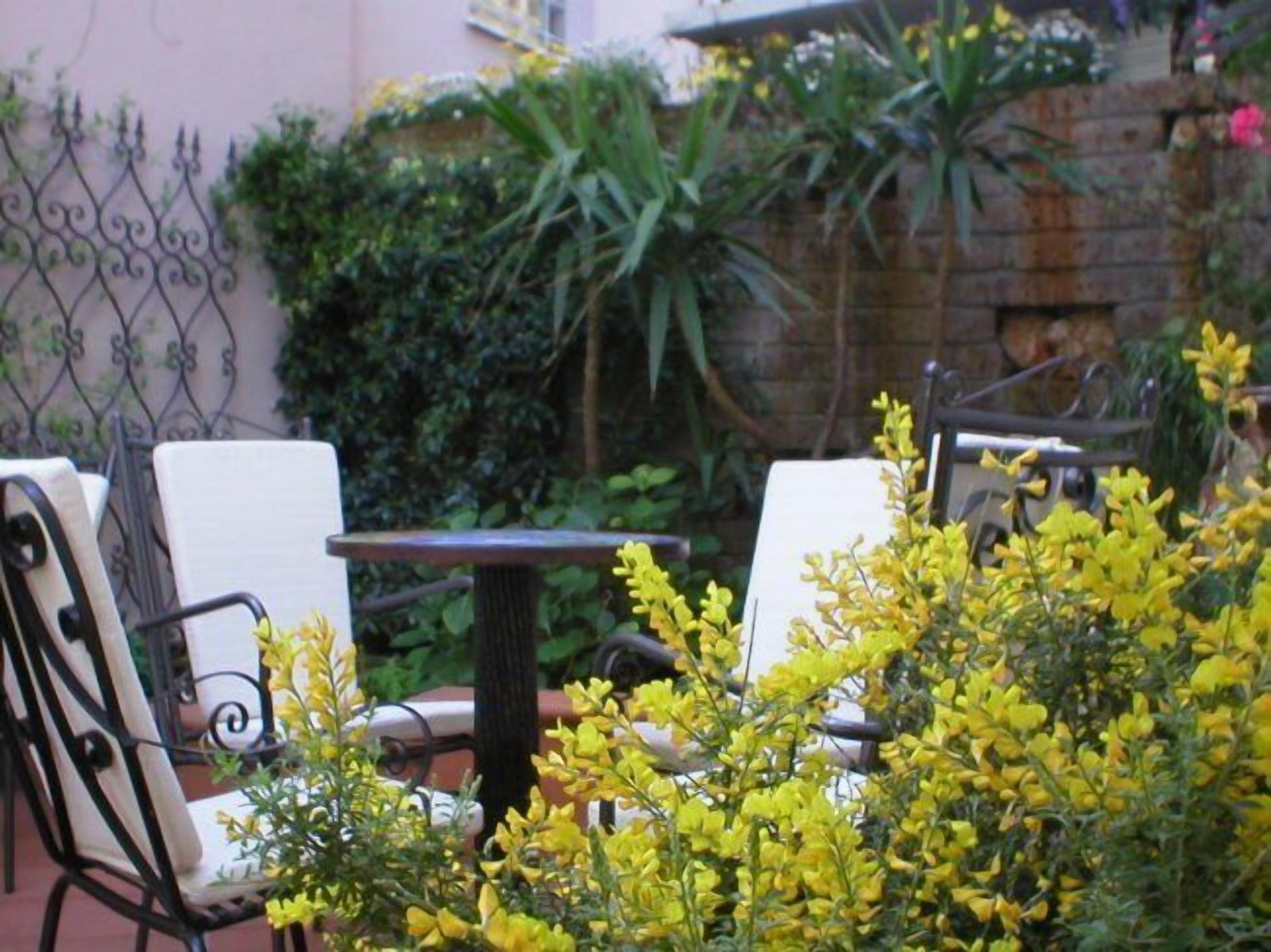 An outdoor seating area with metal chairs and a table, surrounded by yellow flowering plants and greenery.