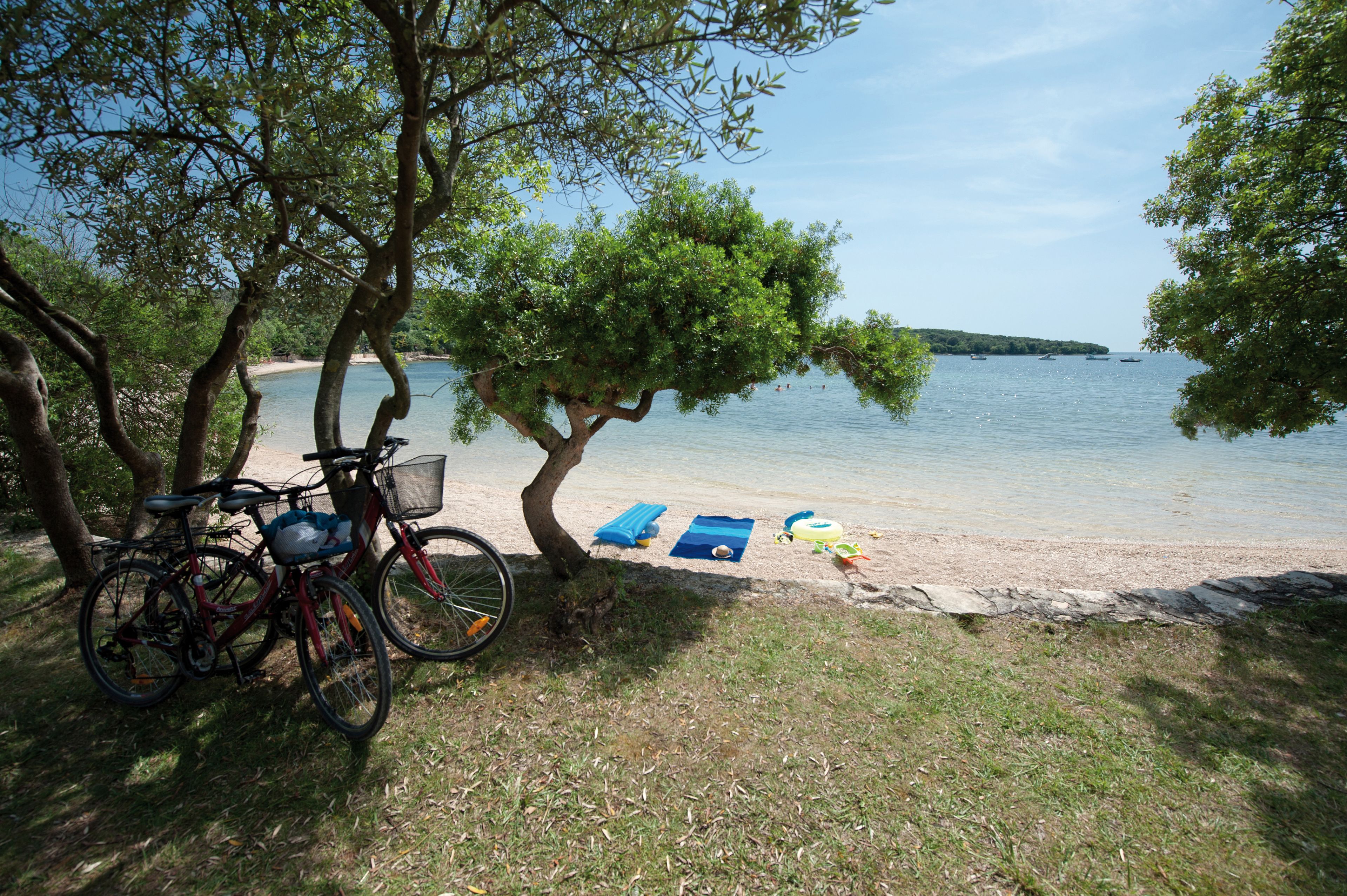 Een strand met een fiets geparkeerd onder een boom, een handdoek uitgespreid op het zand, en een rustig wateroppervlak op de achtergrond.