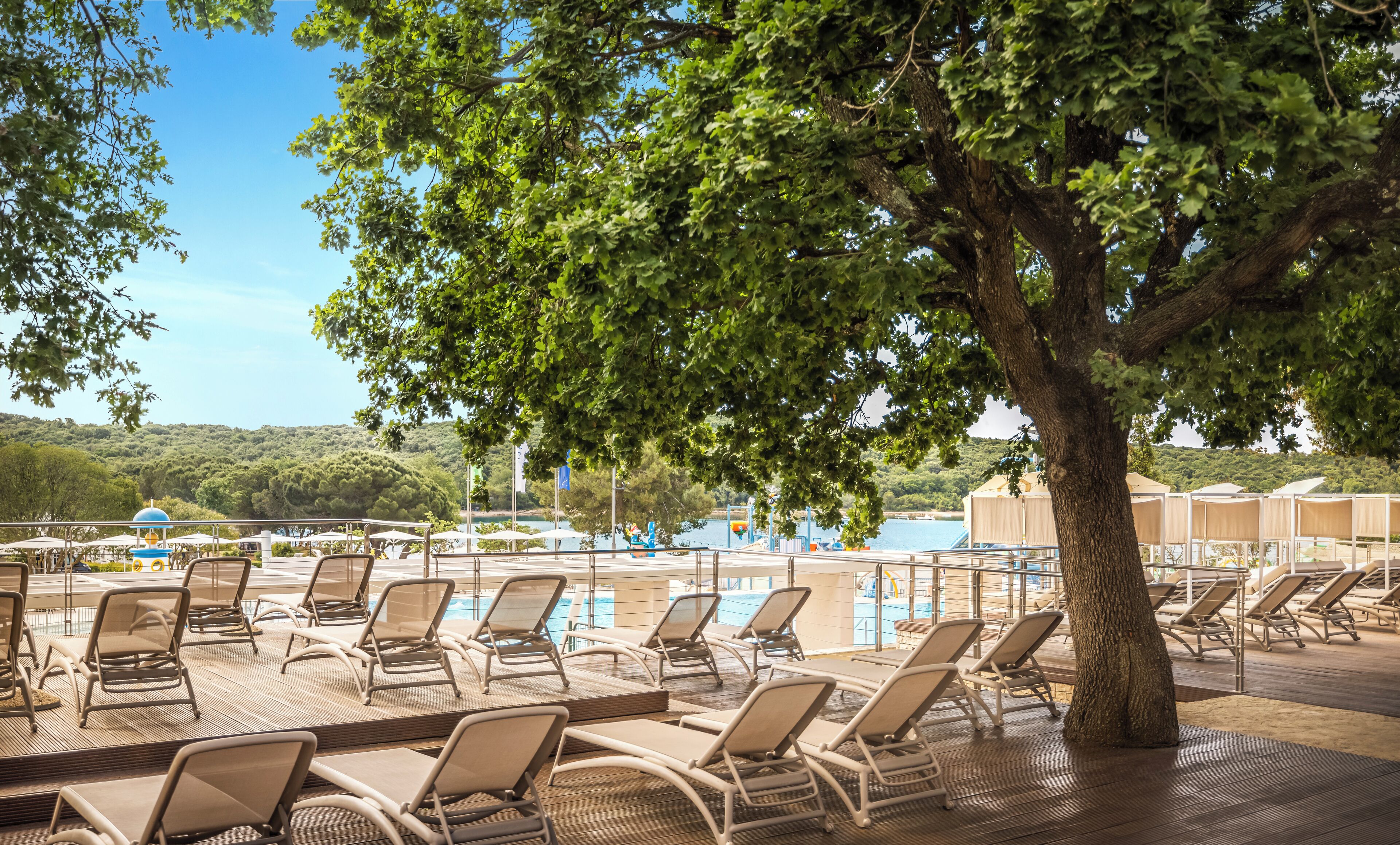 Un espace aménagé au bord de la piscine, avec des chaises longues, un grand arbre et une vue sur l’eau et les collines en arrière-plan.
