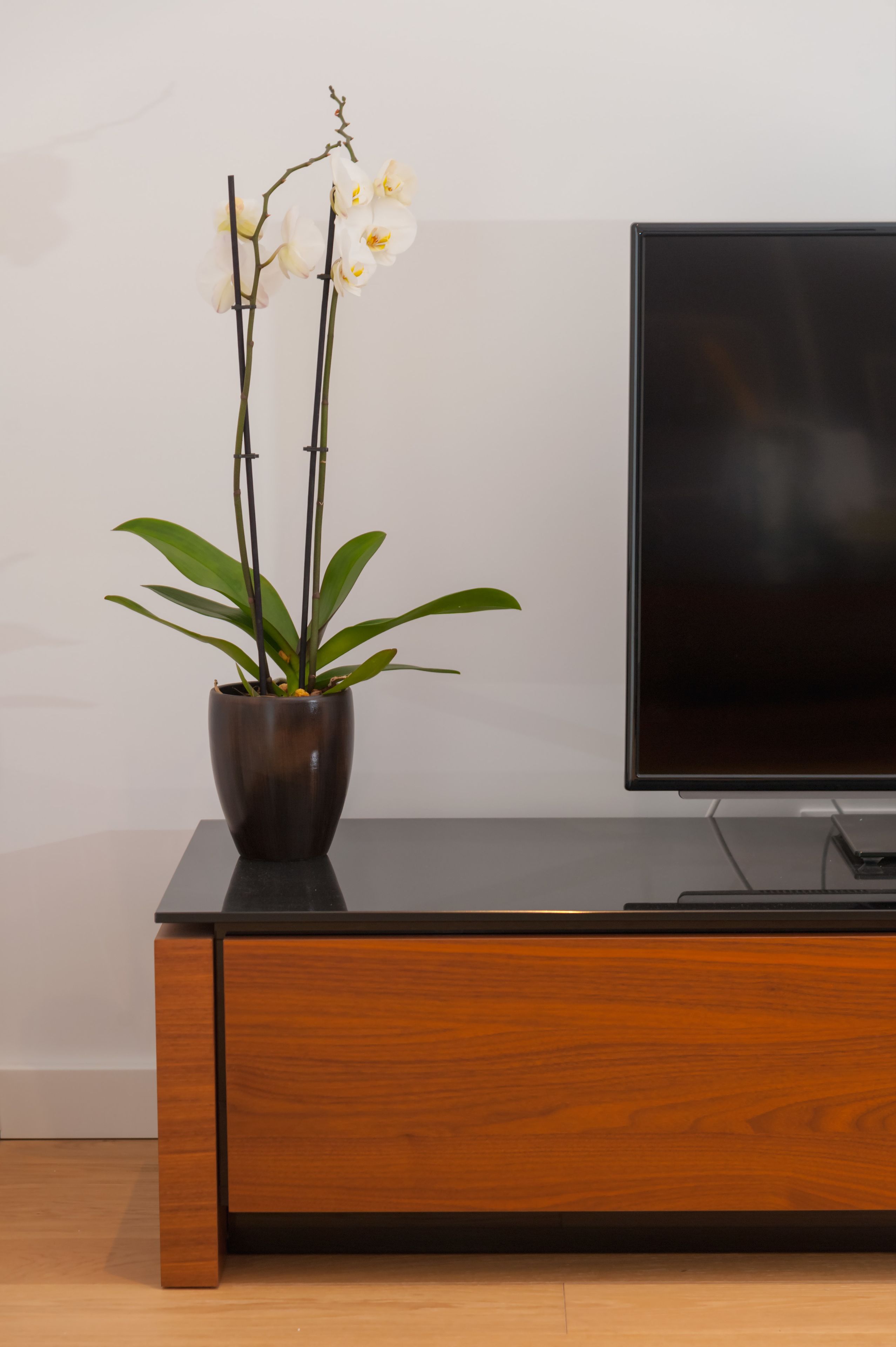 junior one bedroom suite | living area | flat-screen tv