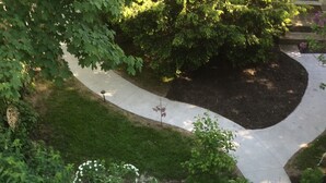 A garden pathway with various plants and a small black object on the ground. - Ginkgo Tree Inn (Mount Pleasant)