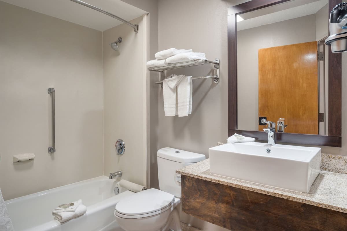 Une salle de bain avec une baignoire, des toilettes, un lavabo et un miroir.