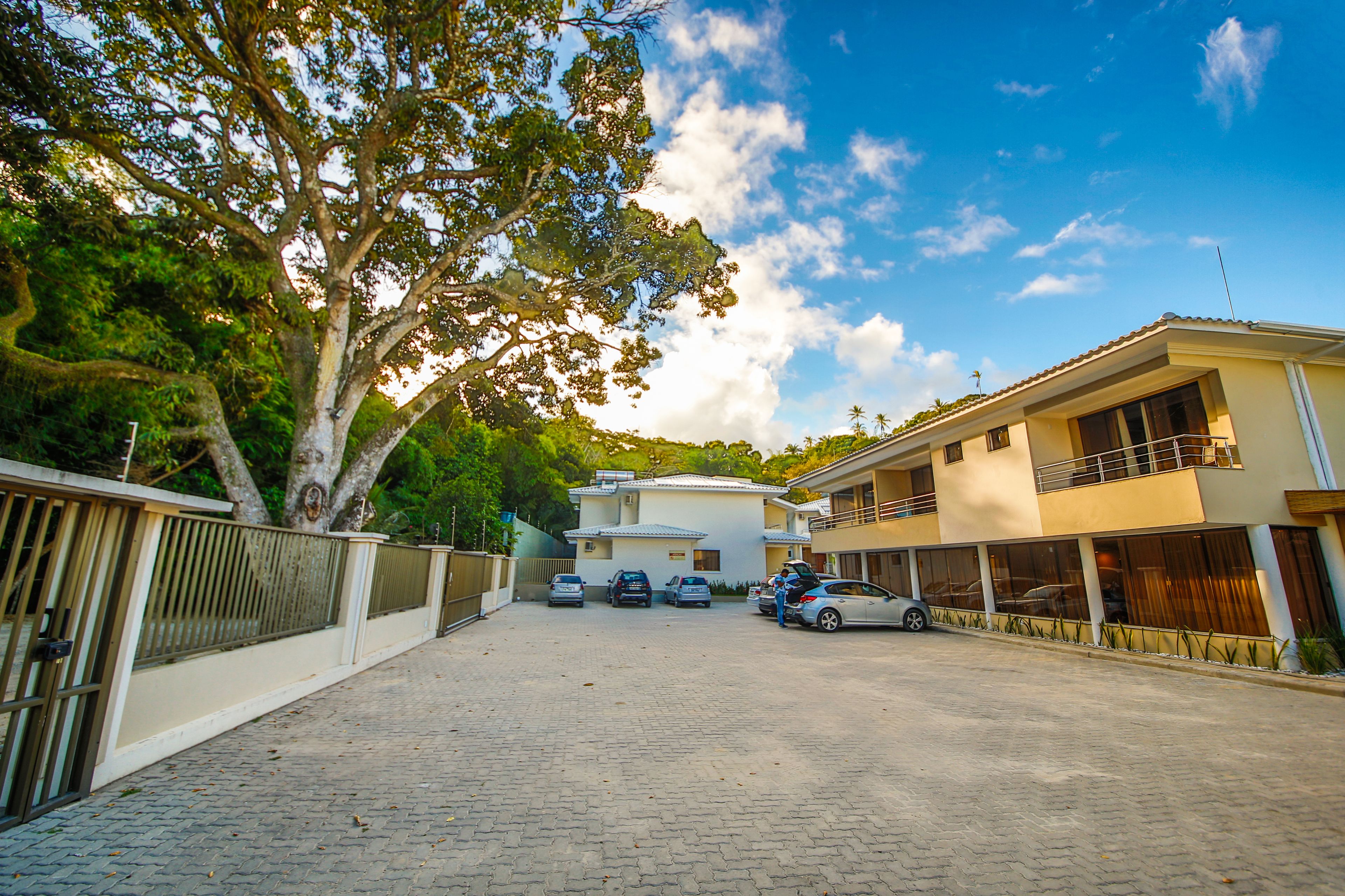 A paved driveway leading to a gated entrance with a tree-lined path.