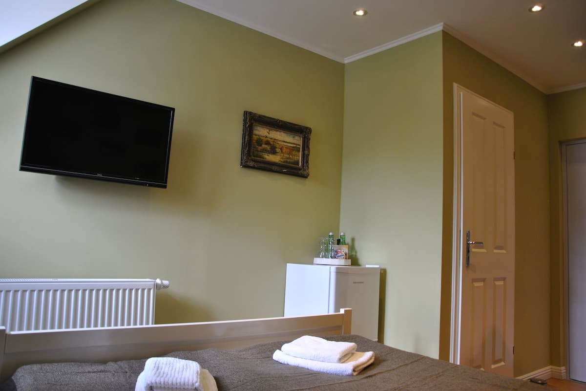 A bedroom with a bed, a television mounted on the wall, a radiator, a small refrigerator, and a door.
