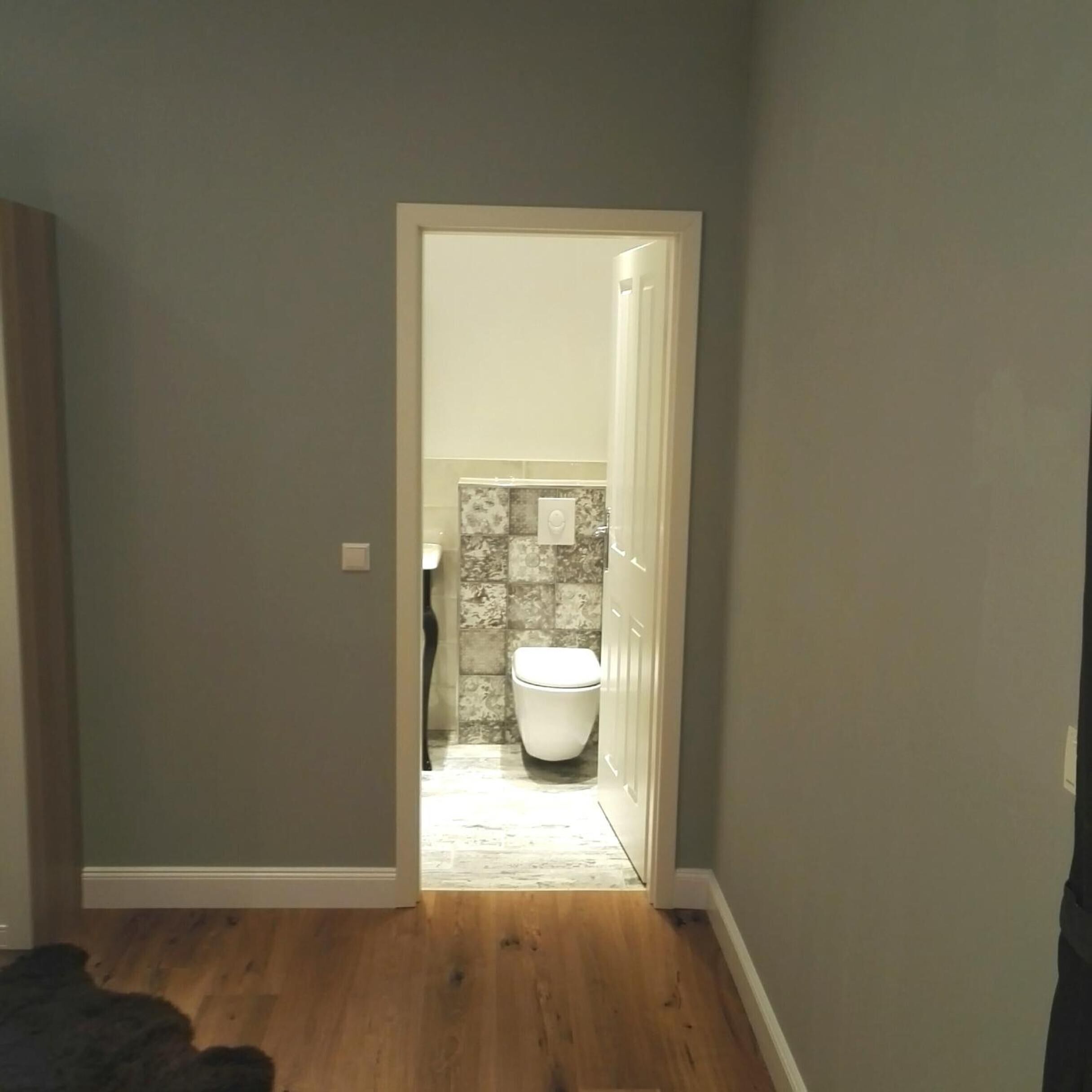 A hallway leading to a bathroom with a toilet and a shower area.