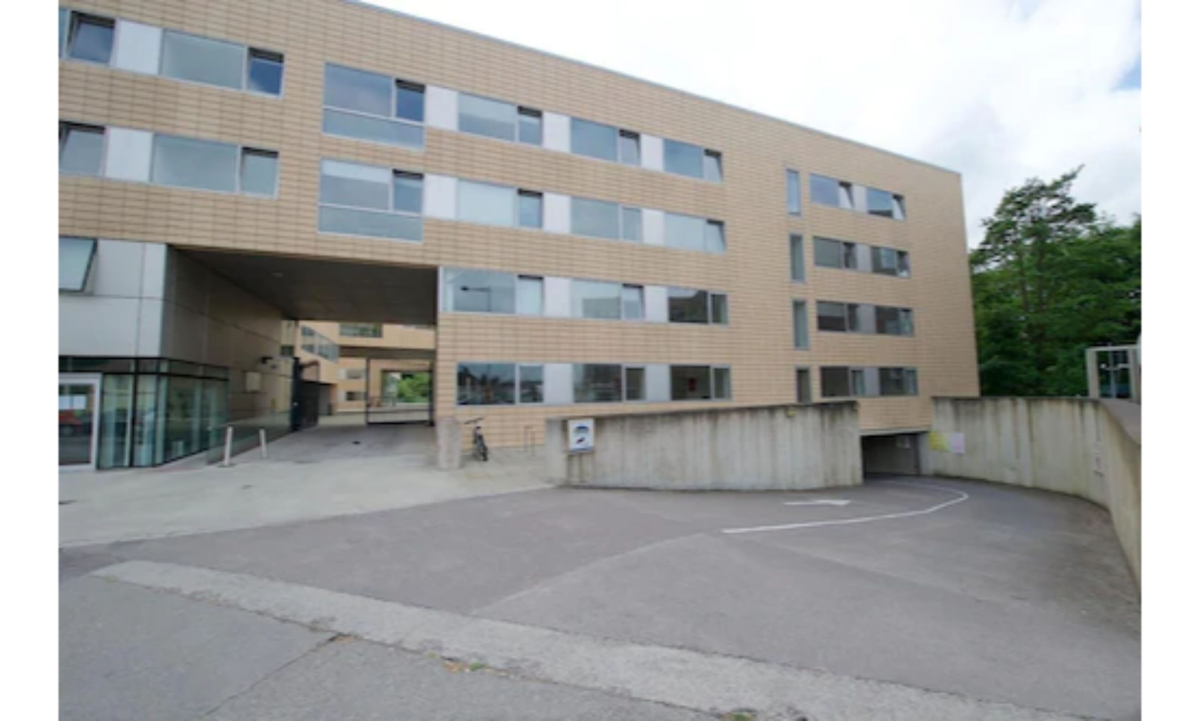 Photo - Victoria Mills - UCC Summer Beds