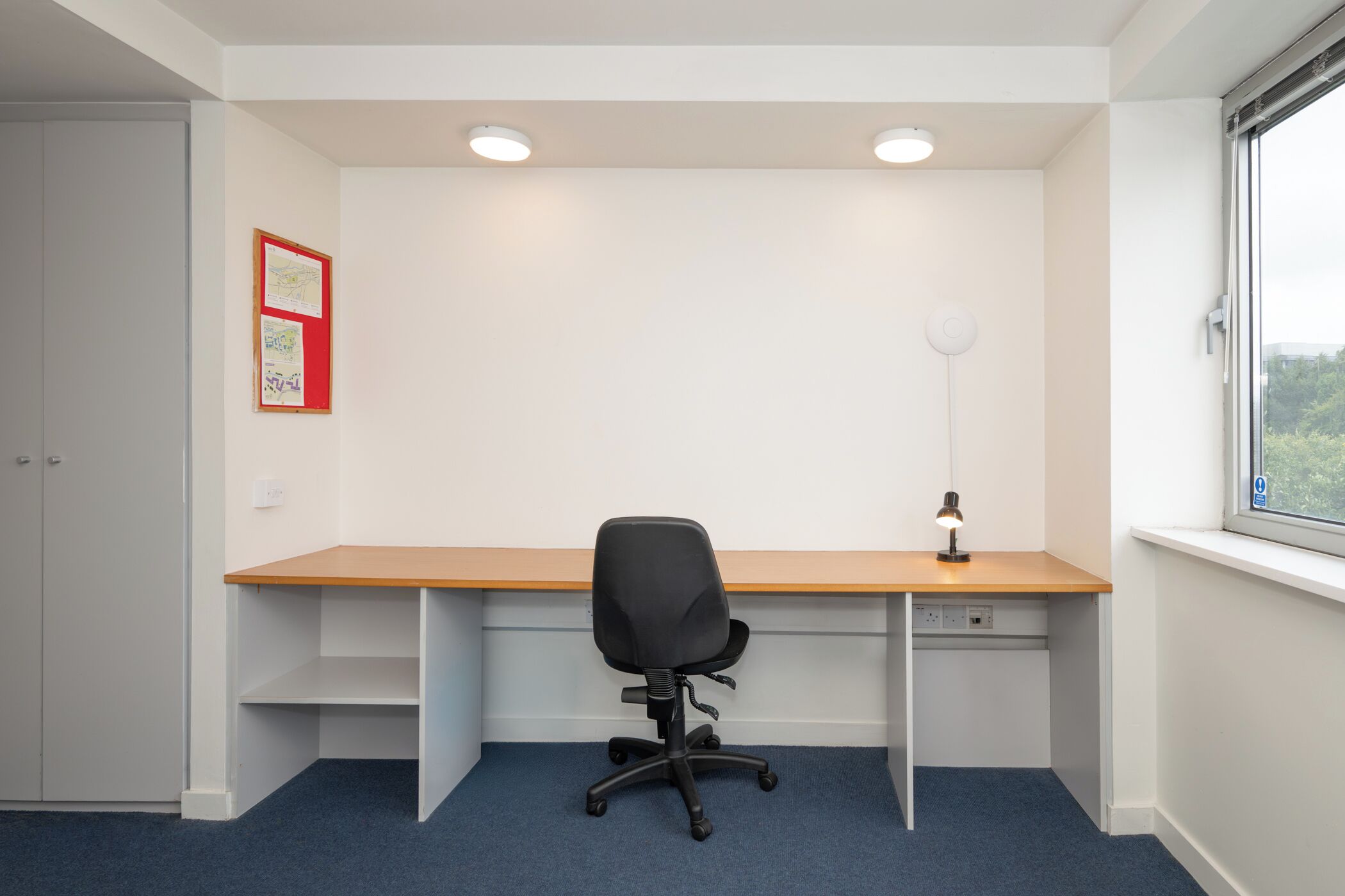 Photo - Victoria Mills - UCC Summer Beds