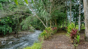 A natural outdoor setting with a stream, surrounded by dense foliage and trees.
